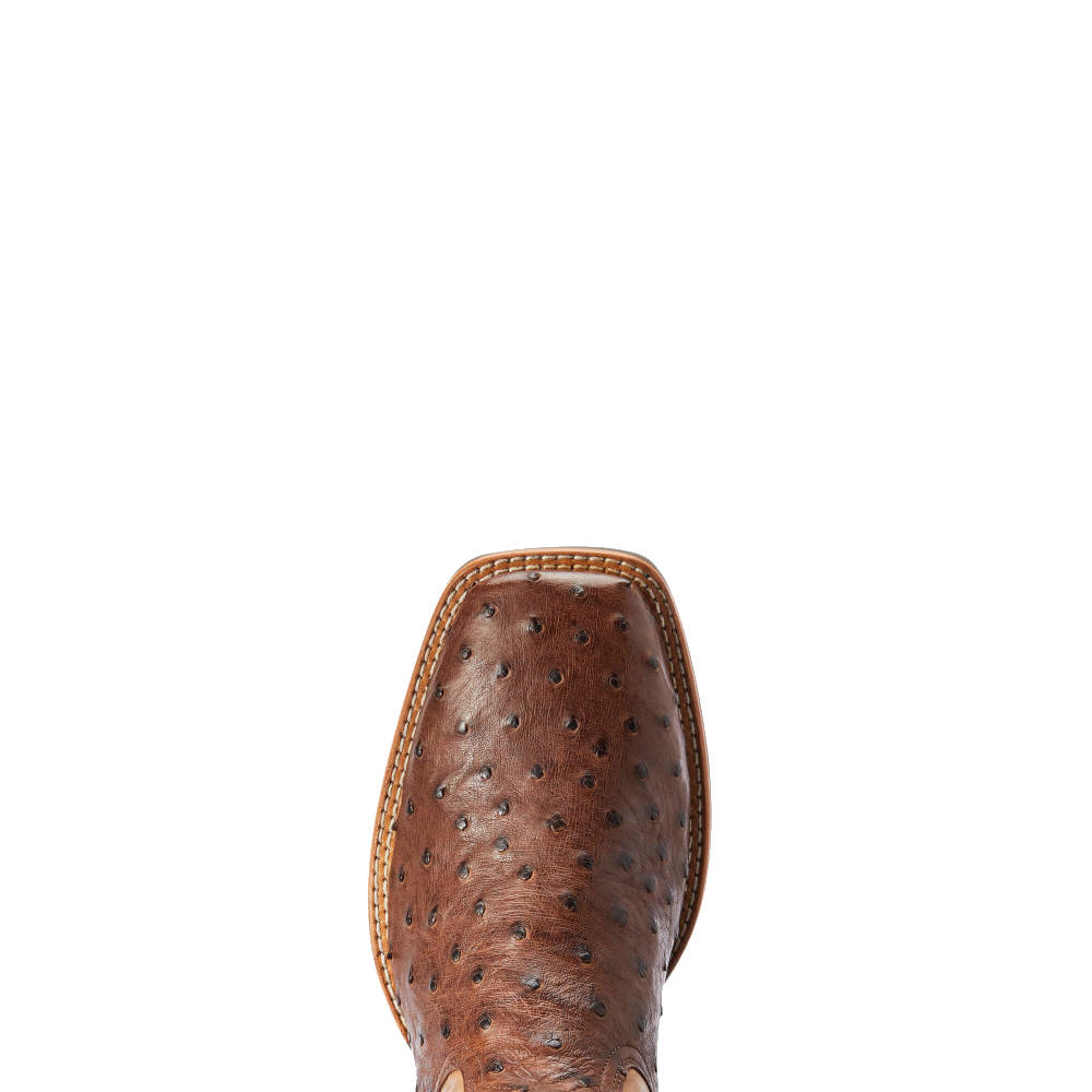 Bota Ariat Avestruz Dagger - 10042475