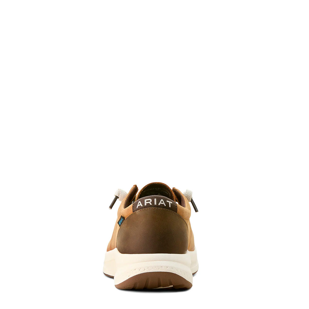 Zapato Ariat Dark Coffe - 10053819