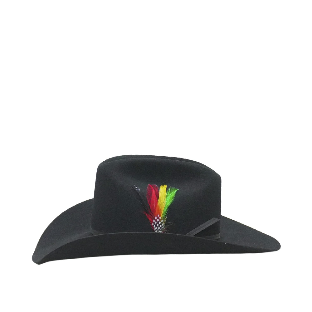 Texana Stetson Roper Black 6X