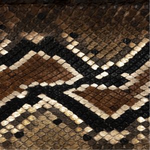 Bolsa Cuadra en Piel Genuina de Pitón - BOD1TPH