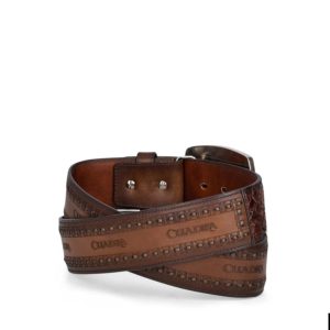 Cinto Cuadra en Piel Genuina de Pitón - CV397PI