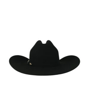 Texana El Reparo Durango 20X