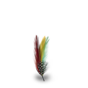 Pluma Natural Sombrero y Texana