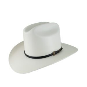 Sombrero El Reparo 10000x Durango Pintado