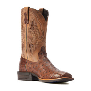 Bota Ariat Avestruz Dagger - 10042475