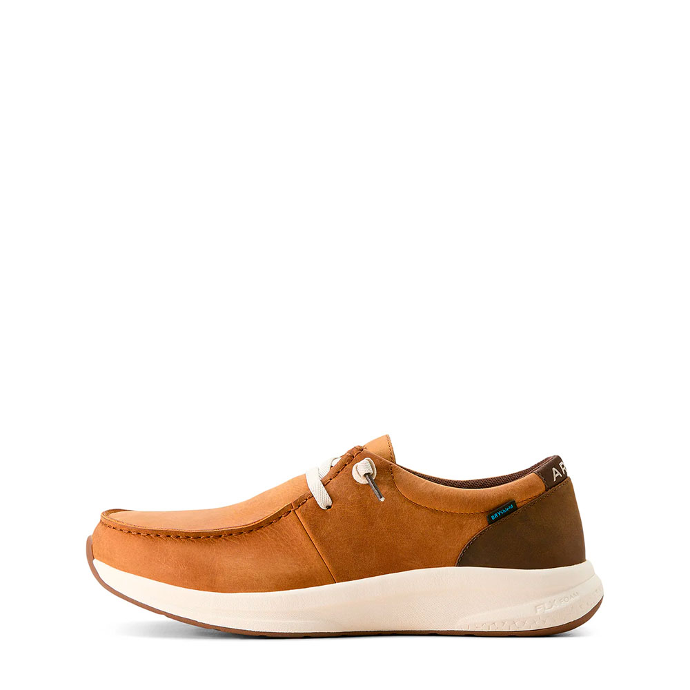Zapato Ariat Dark Coffe - 10053819 - Image 3