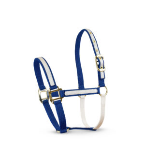 Almartigón de Nylon - 11149 - Azul / Blanco, 38