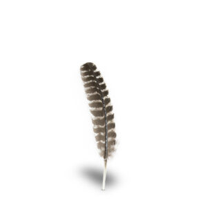 Pluma Natural Sombrero y Texana