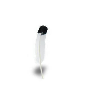 Pluma Natural Sombrero y Texana