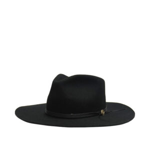 Texana Stetson Minds Eye