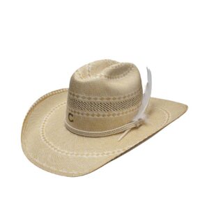 Sombrero Charlie 1 Horse Hello Sunshine Natural