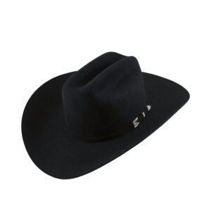 Texana Stetson Monarca Negra 6X