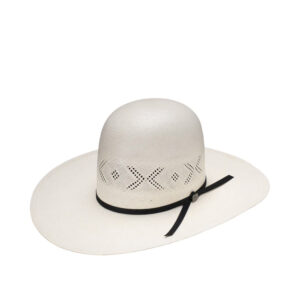 Sombrero Resistol Reins 20X Natural Open Crown