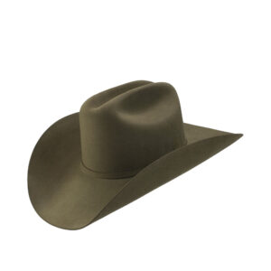 Texana Stetson Munford Sage 6X