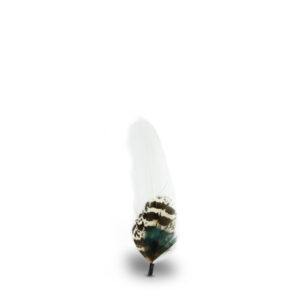Pluma Natural Sombrero y Texana - 52499