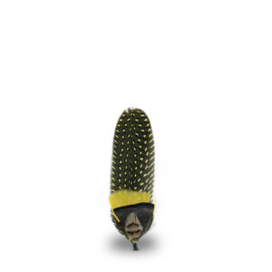 Pluma Natural Sombrero y Texana - 52503