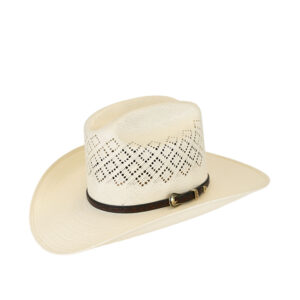 Sombrero El Reparo 300x WV Japonés Ventanal