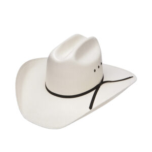 Sombrero Resistol Denison 7X Natural
