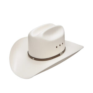 Sombrero Resistol Hamilton 10X Natural