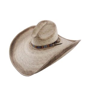 Sombrero Charlie 1 Horse Coyote Burned