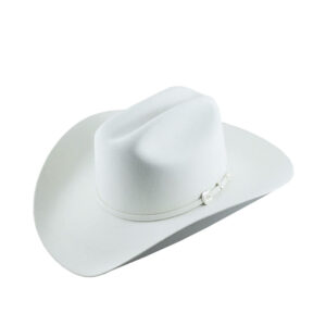 Texana Stetson Deadwood 4X