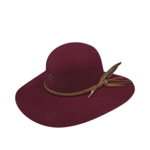 Texana Charlie 1 Free Spirit