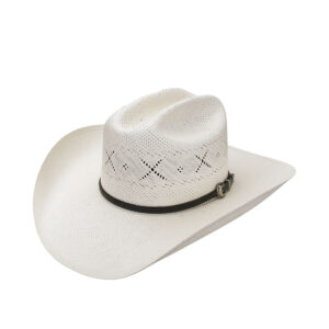 Sombrero Resistol All My Ex's 20X Natural