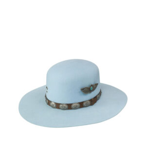 Texana Charlie 1 Horse Saguaro Baby Blue