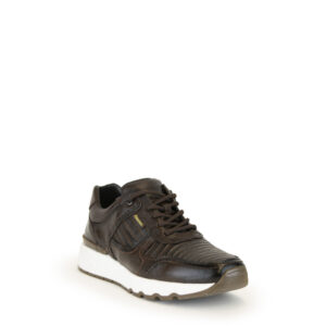 Sneakers Romanos Lizard Visalt Café - EST7879