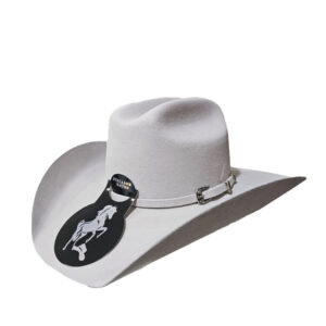 Texana Stallion Rooper Busking 300X