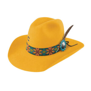 Texana Charlie 1 Horse Gold Digger
