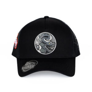 Gorra R&C Emblema V?bora