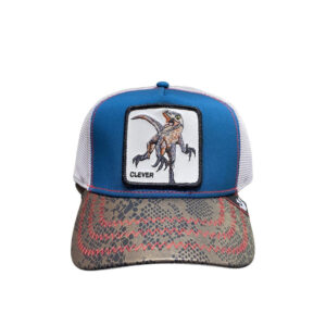 Gorra Goorinbros Clever