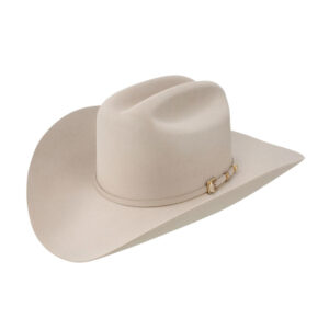 Texana Stetson Guadalupana 6X