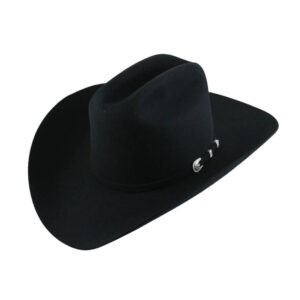 Texana Stetson Shasta 10X Copa Alta