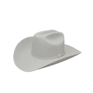 Texana Stetson Shasta 10X