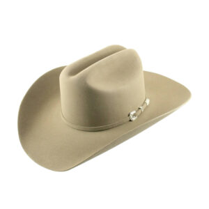 Texana Stetson Skyline 6X