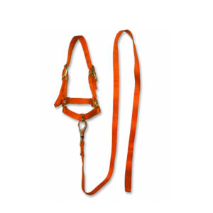 Bozal #006 P/Borrego Con Guía Naranja