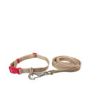 Collar Con Correa #701 Para Perro Md 3/4" Poly