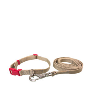 Collar Con Correa #701 Para Perro Md 3/4" Poly
